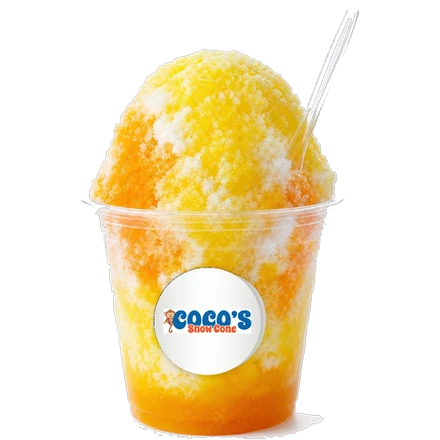 A Coco's Tropical snow cone
